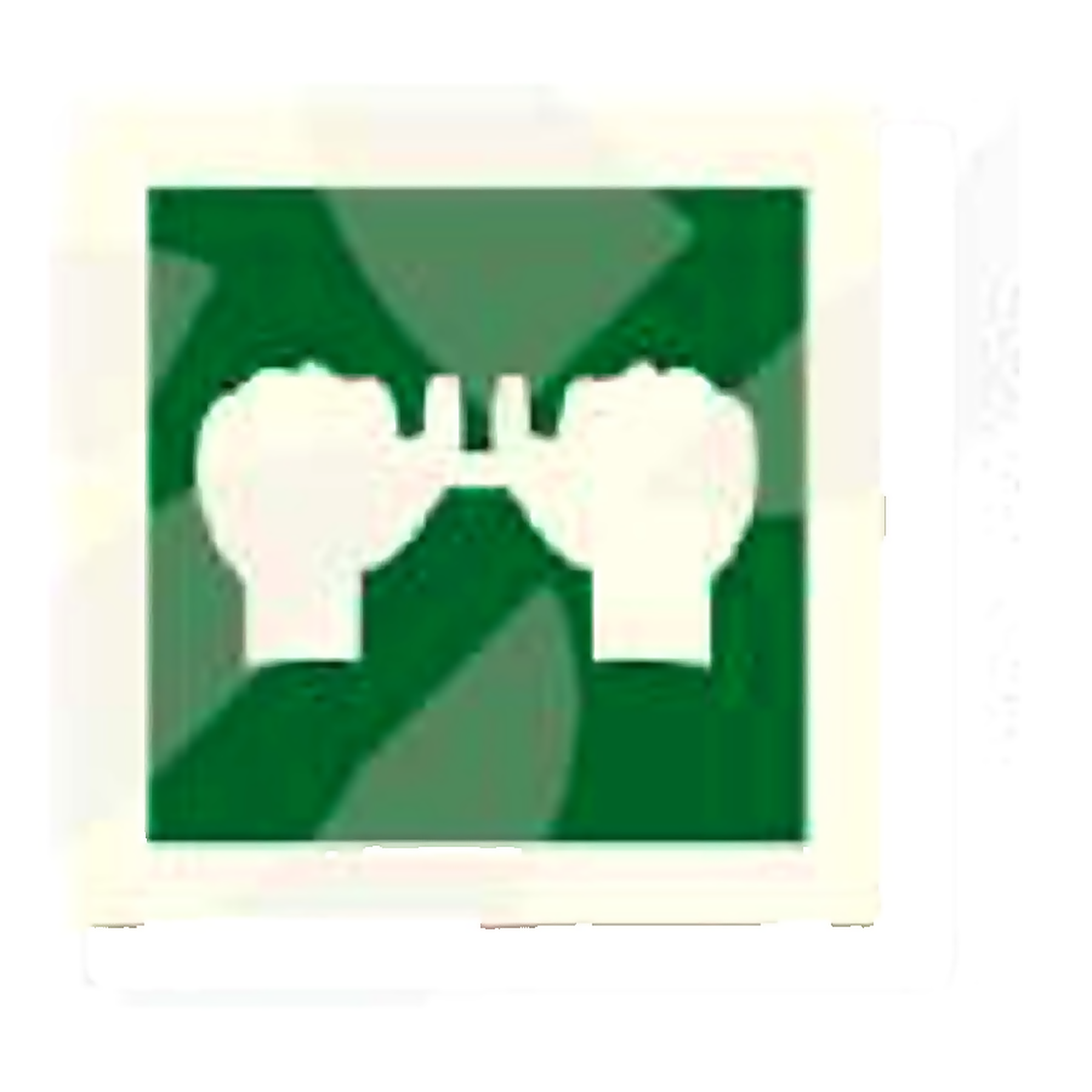 S50 — Binoculars / lookout | Safety Sign | Seasonlite